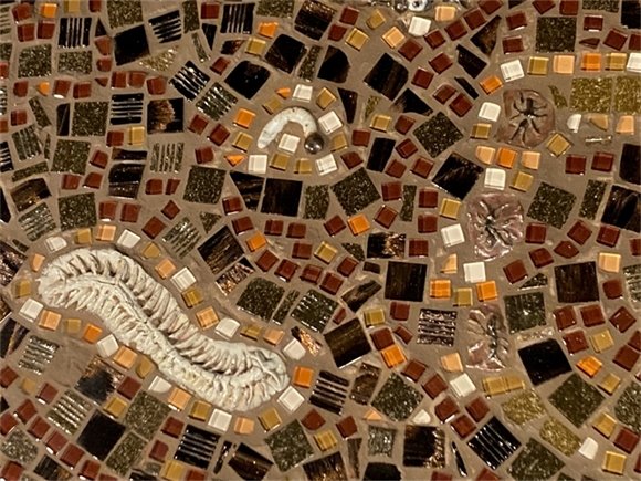 “What Lives in Soil”