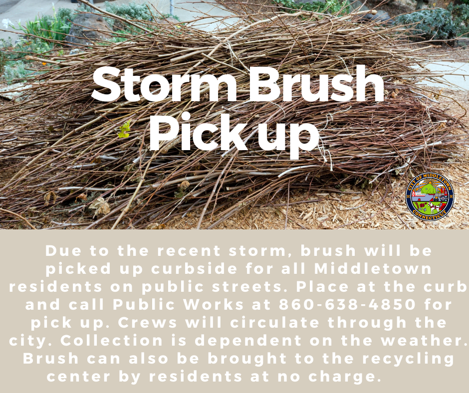 Storm Brush Pick up 