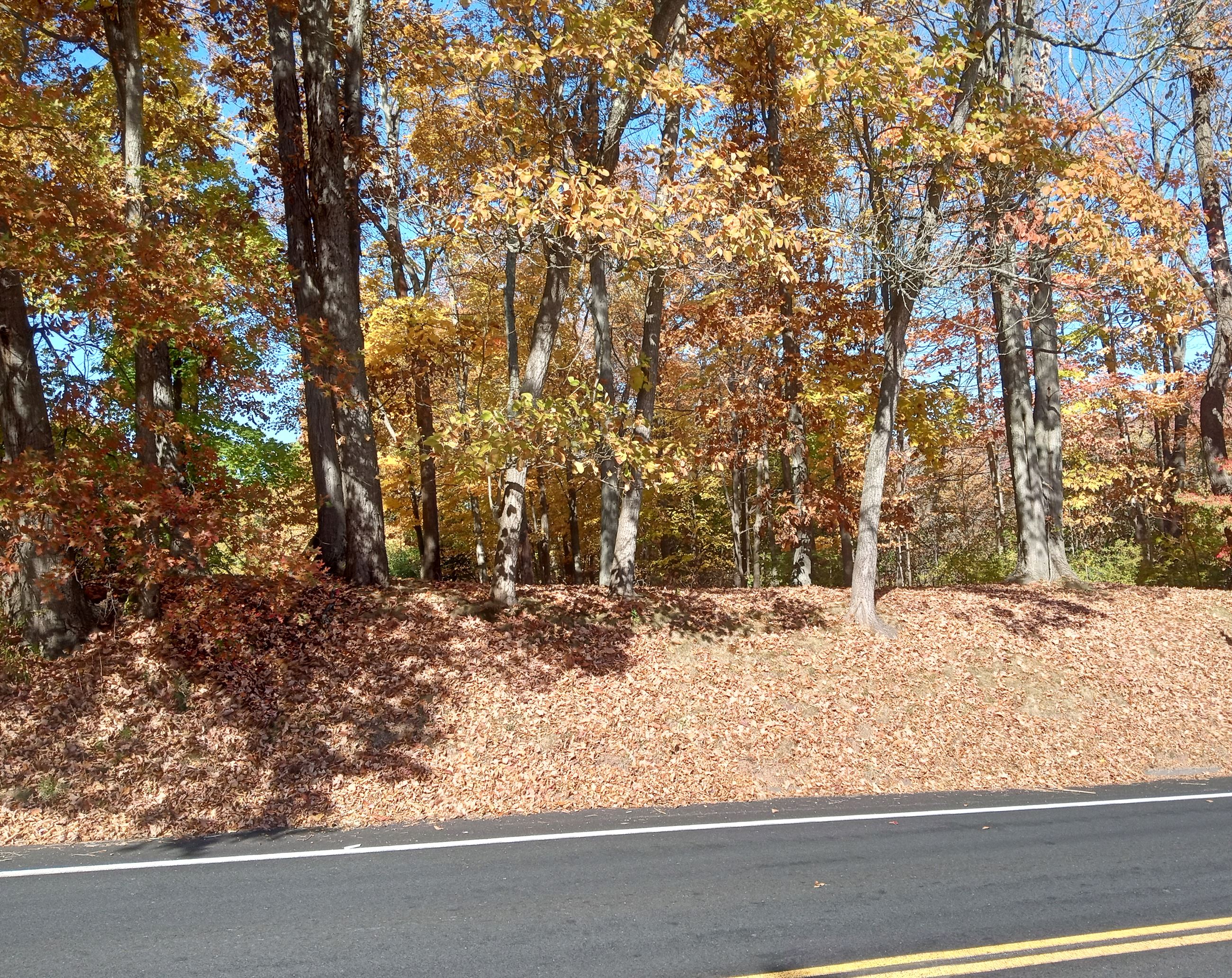 Old South Side Cemetery
